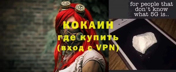 ГАЛЛЮЦИНОГЕННЫЕ ГРИБЫ Верея