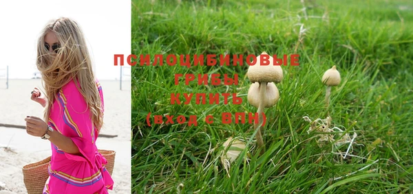 ГАЛЛЮЦИНОГЕННЫЕ ГРИБЫ Верея