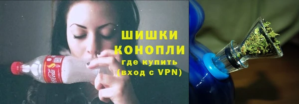 ГАЛЛЮЦИНОГЕННЫЕ ГРИБЫ Верея
