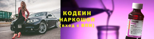 ГАЛЛЮЦИНОГЕННЫЕ ГРИБЫ Верея